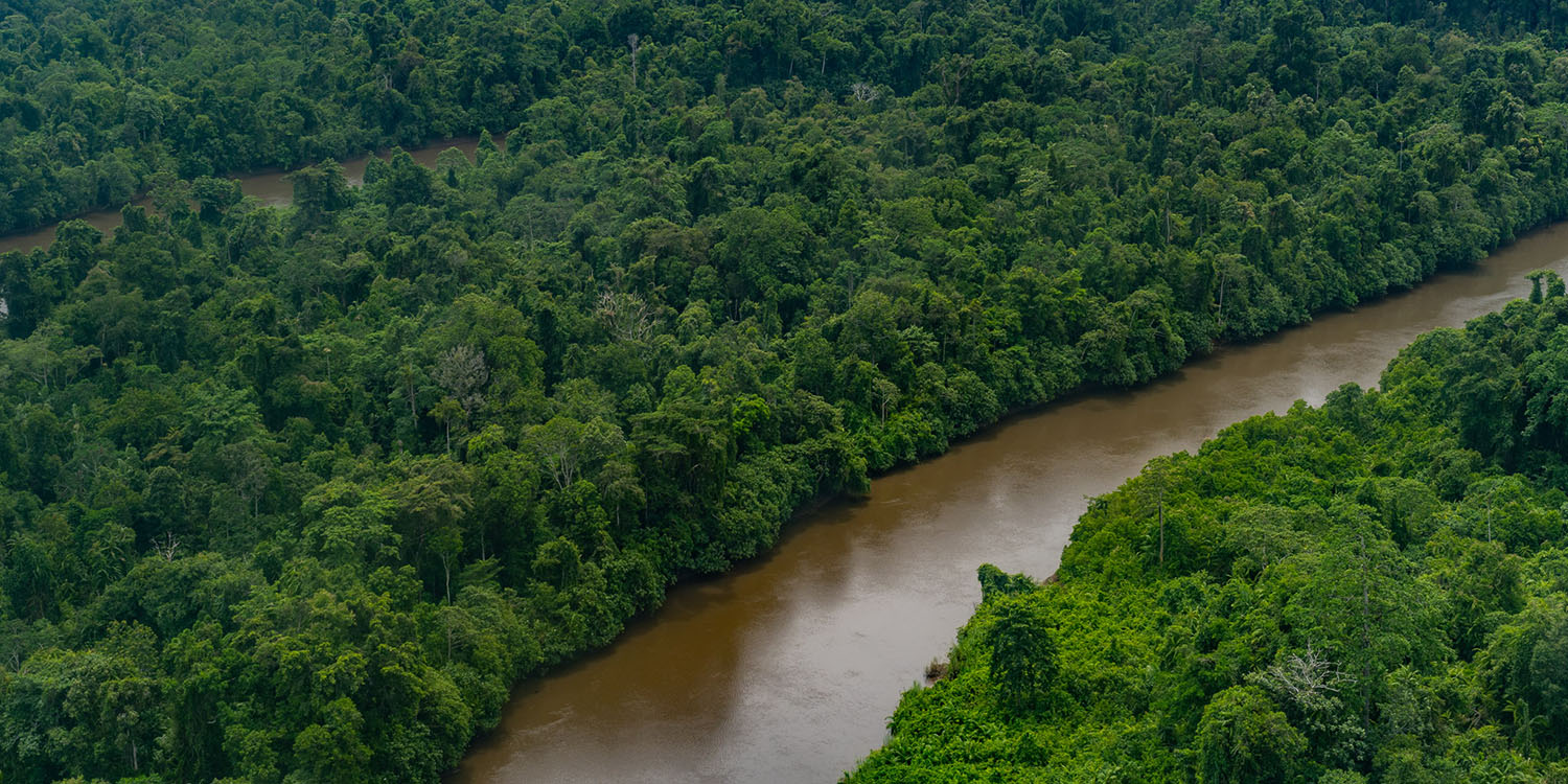 The New Guinea checklist: a botanical distillation of the last unknown ...